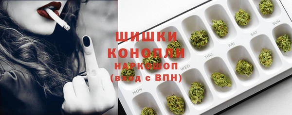 ECSTASY Вяземский