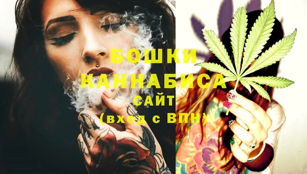 ECSTASY Вяземский